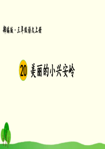 20 美丽的小兴安岭