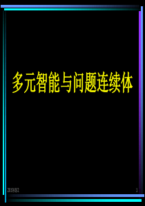 多元智能与问题连续体39