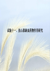 试验十一、抗心肌缺血药物作用研究