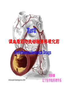 调血脂药与抗动脉粥样硬化药