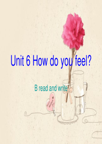 新人教版PEPhow do you feel B read and write