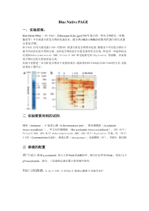 Blue-native-PAGE-实验讲义