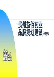 贵州益佰药业品牌规划建议(PPT 33)