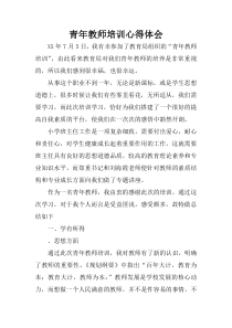 青年教师培训心得体会