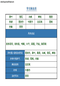 辛凉解表药-DevelopmentofTCMInt