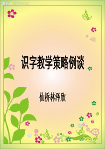 识字教学 专题讲座