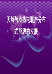 天然气分布式能源介绍.PPT