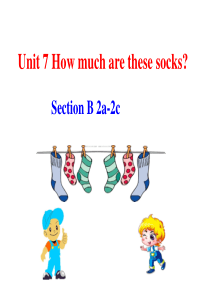 How much are these socksSectionB2a-2c