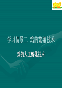 2019年部编版三年级下册语文园地四课件完美版