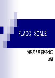 FLACC量表