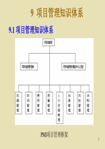 9项目管理知识体系