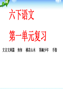 新人教版六年级下册语文1六年级下语文第一单元复习课件