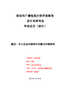 中小企业内部审计问题与对策研究