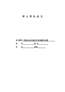 民营企业内部审计问题与对策(DOC)