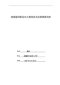 浅析我国篮球职业化之路现状及改善措施