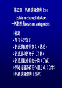 钙通道阻滞药及肾素血管紧张素药理