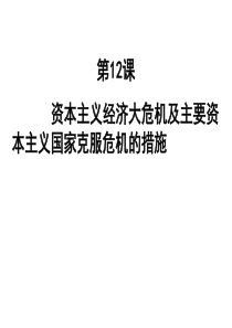 九年级历史第课资本主义经济大危机及主要资本主义国家克服危机的措施