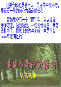 美丽而奇妙的语言――认识汉语