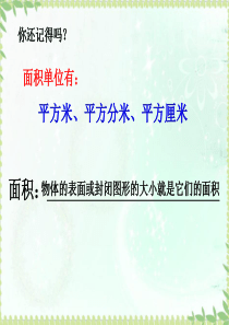 三年级数学下册《长方形的面积》