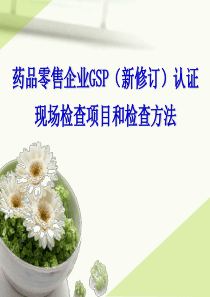 零售药店GSP现场检查条款(打印版)