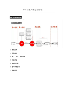 万科房地产策划全流程