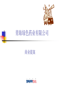 青海XX药业有限公司商业提案(PPT48)(1)