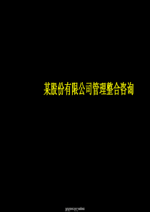 【咨询报告】某股份有限公司管理整合咨询-组织设计方案报告-146页