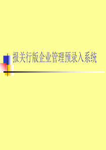 企业管理预录入系统