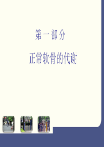 骨关节炎病理作用及硫酸氨基葡萄糖钾药理作用