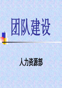 【2019-2020年整理】团队建设