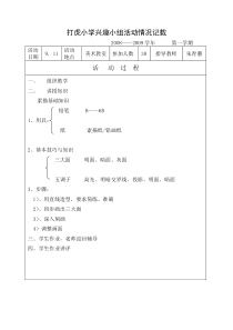 小学兴趣小组活动情况记载