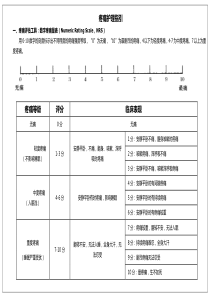 护理各类评分表