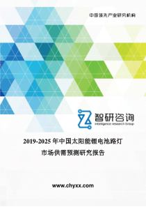 2019-2025年中国太阳能锂电池路灯市场供需预测研究报告