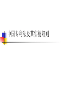 中国专利法及其实施细则.ppt