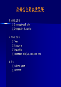 03-高效蛋白表达系统