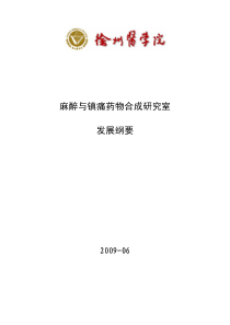 麻醉与镇痛药物合成研究室