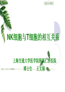 NK细胞与T细胞相互关系