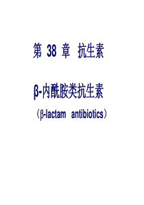 38_β-内酰胺类抗生素 (1)解析