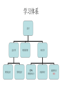 审计学的所有内容概括