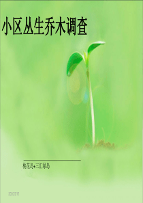 园林植物之小区丛植乔木调查