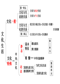 2017最新文化生活知识框架