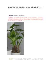 18种常见室内植物的功效,教你怎样摆