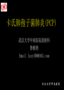 AIDS肺部PCP(上网版)