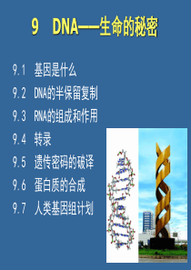 《基础生命科学》DNA――生命的秘密