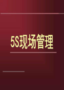 5s管理培训资料.