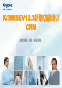 K3WISE V123新增功能_CRM