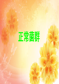 正常菌群――肠道菌群