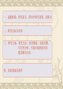 应鹏开题报告