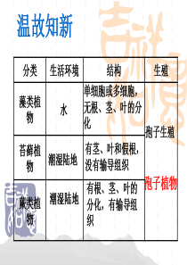 第一章第二节种子植物PPT