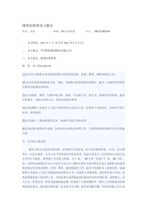 销售助理实习报告